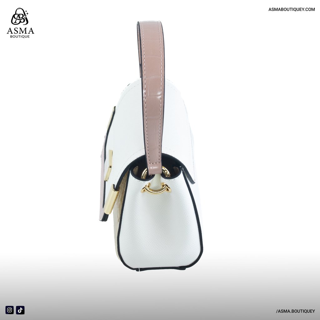 Mini Handbag (Top Handle Bag)